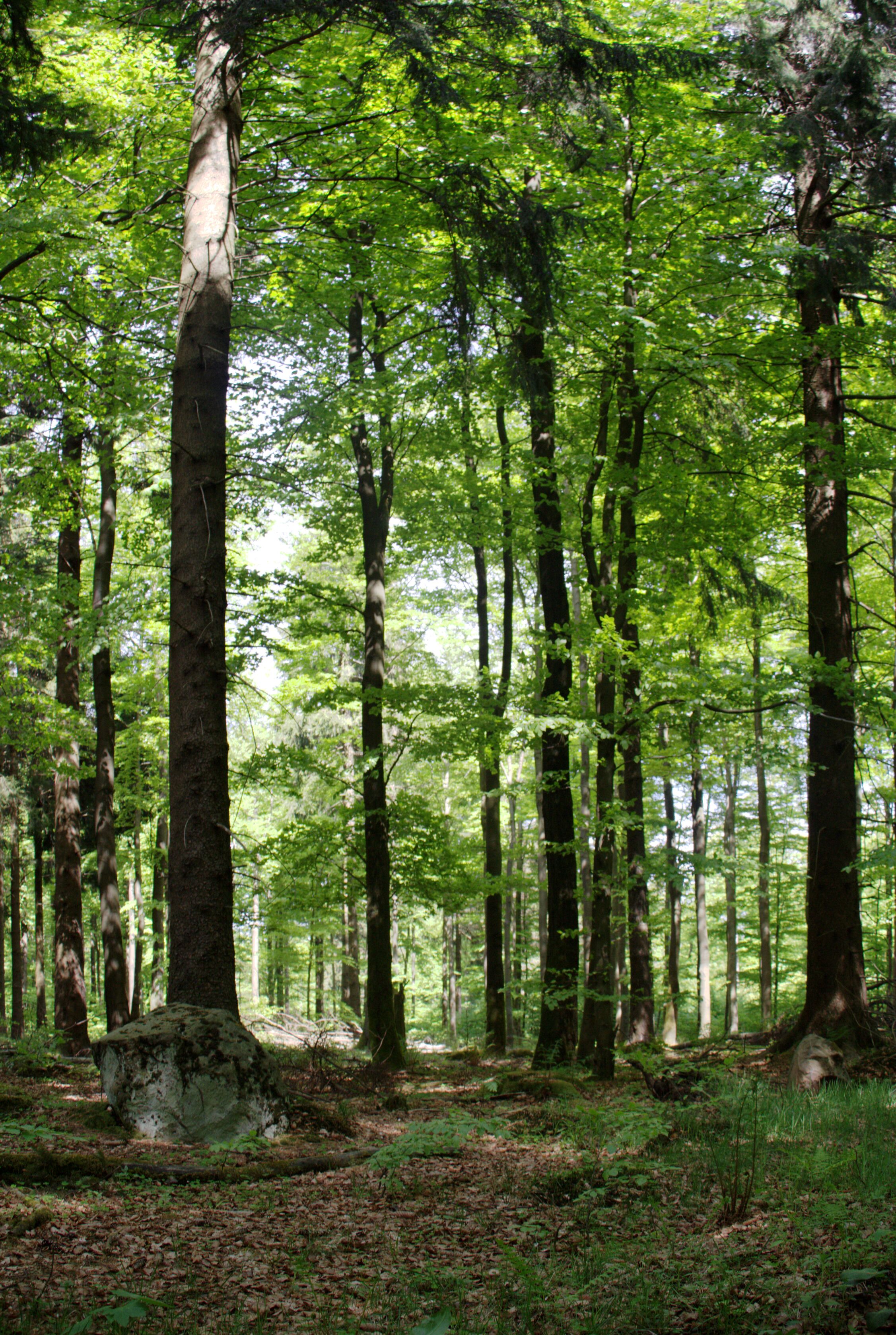 This is a picture of the protected area listed at WDPA under the ID