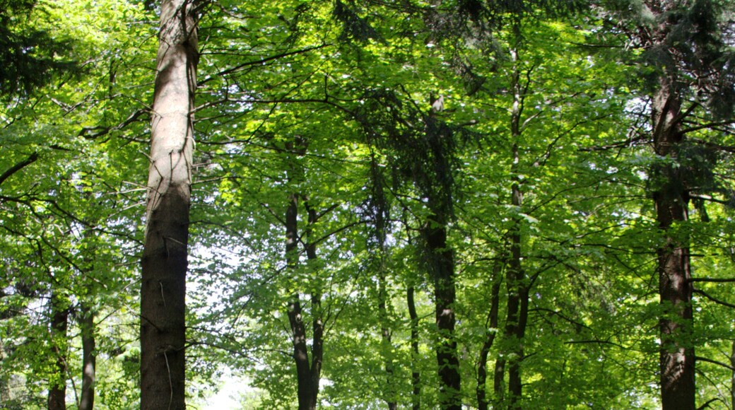 This is a picture of the protected area listed at WDPA under the ID