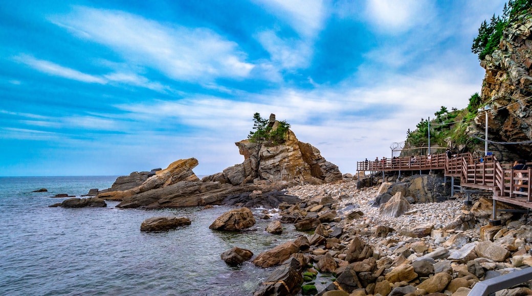 Jeongdong-Simgok Dadabuchaegilin ranta