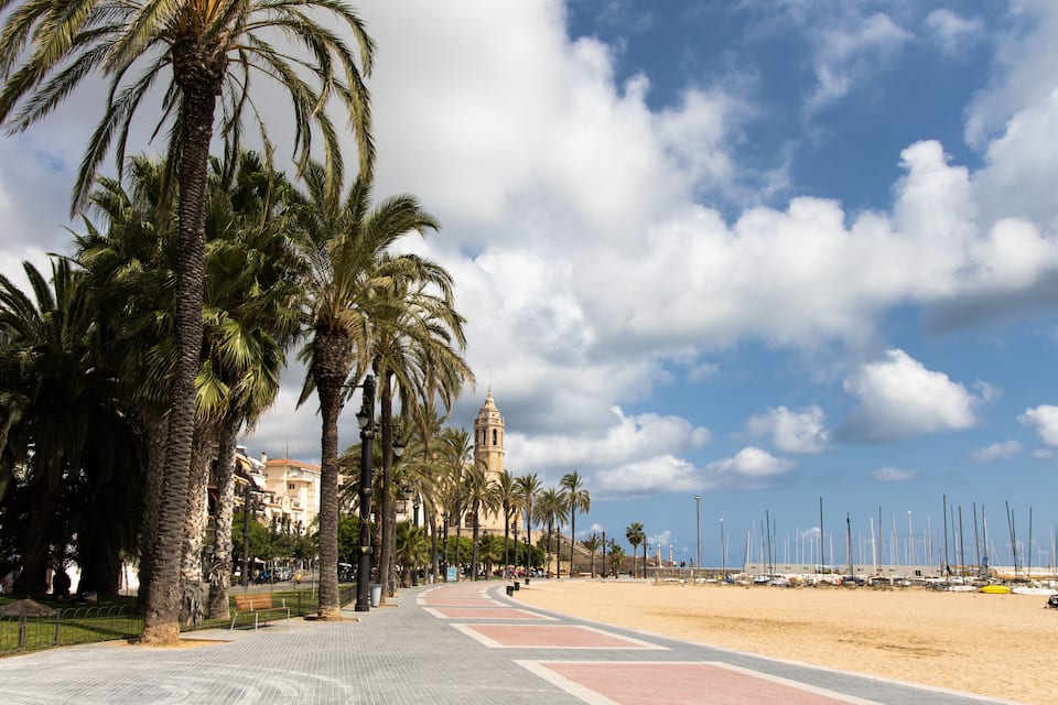 A coastal promenade lined with palm trees and a beach with sailboats.
