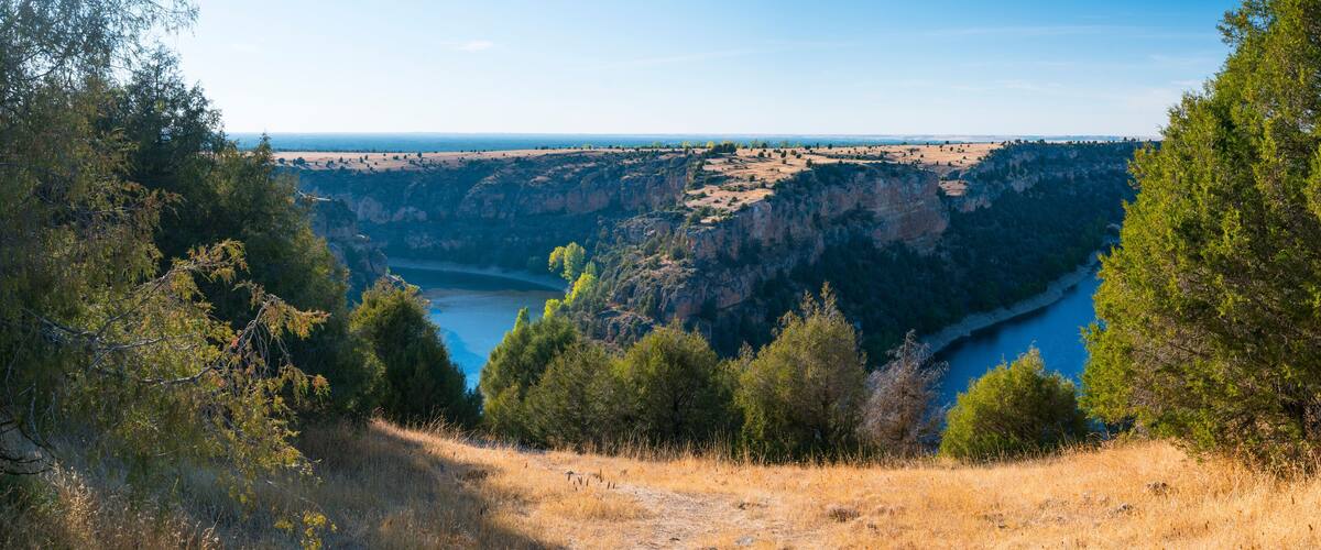 A canyon with a river, surrounded by trees and dry grass.