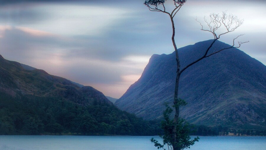 The Lone Tree.
Long exposure to make the most of the fading light.