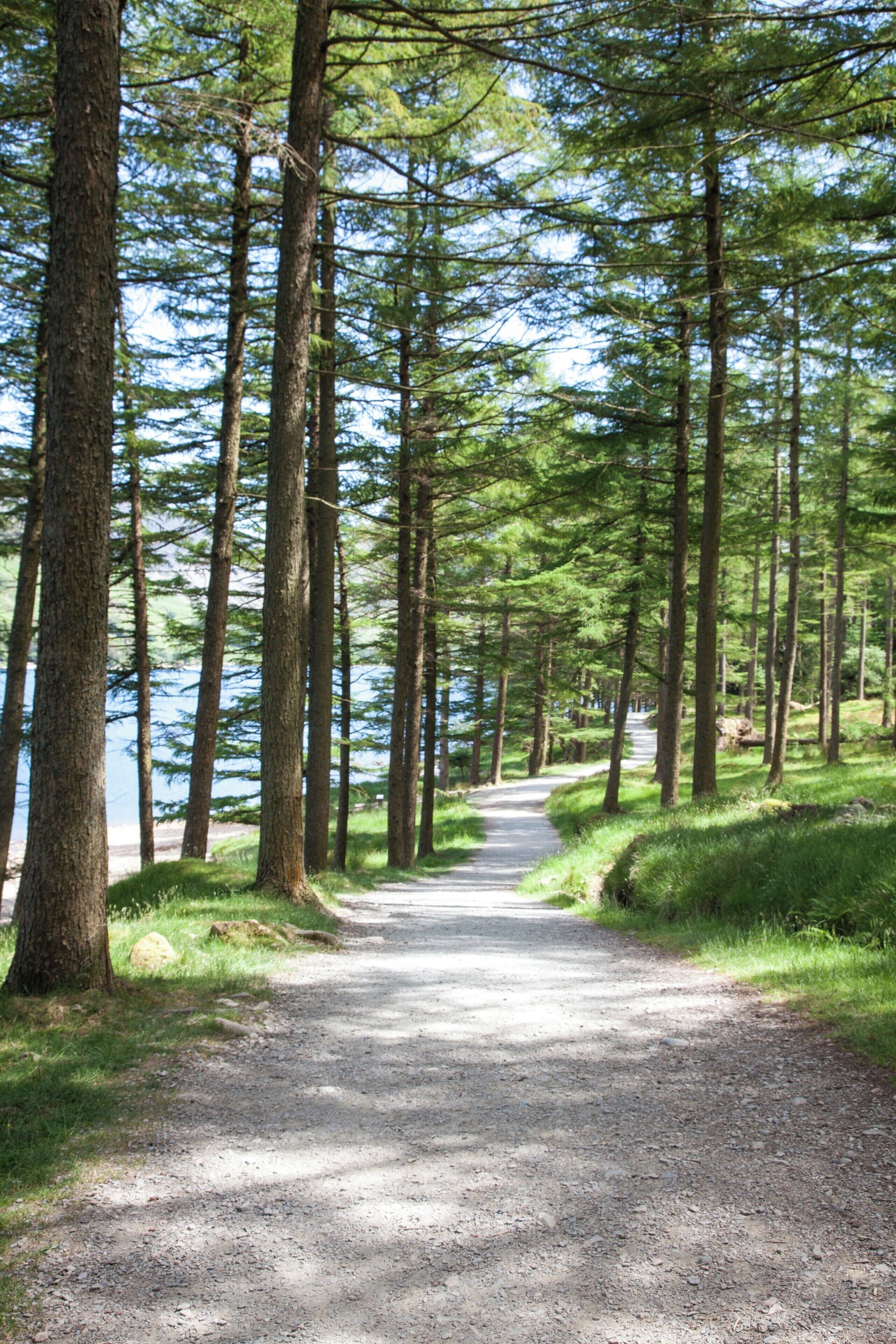 Buttermere lake walk