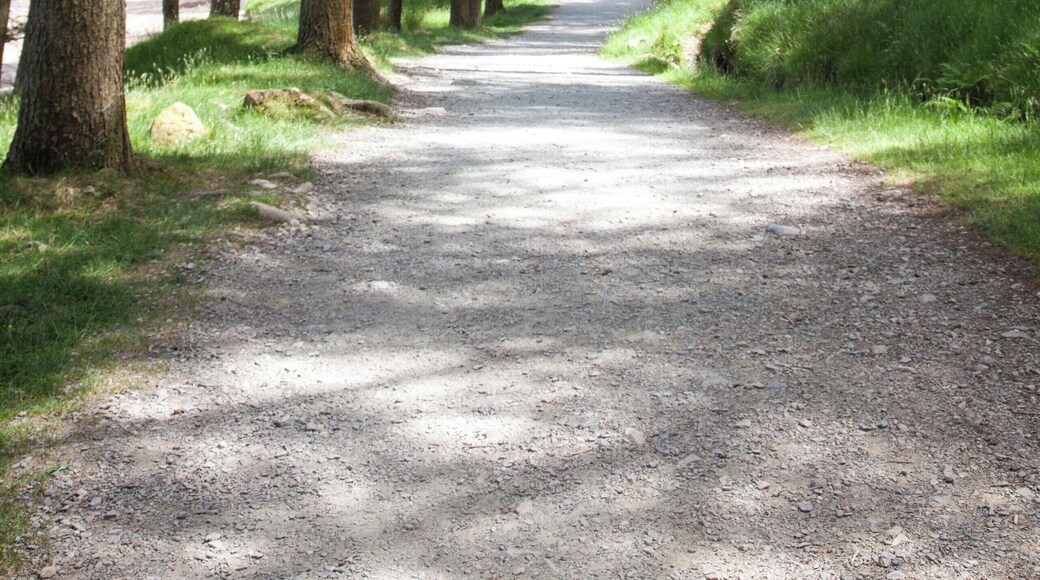 Buttermere lake walk
