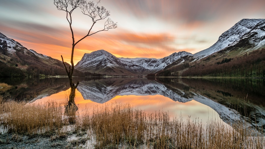Vibrant orange sunrise with moving clouds and snowcapped mountains reflecting in calm still water with lonely tree in foreground at Buttermere, Lake District, UK.