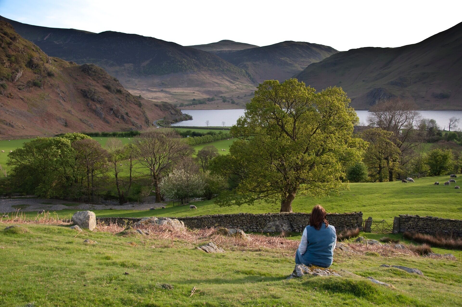 Sat looking at the view of Buttermere from Ranadale Knott. And why not?  Nowhere better!