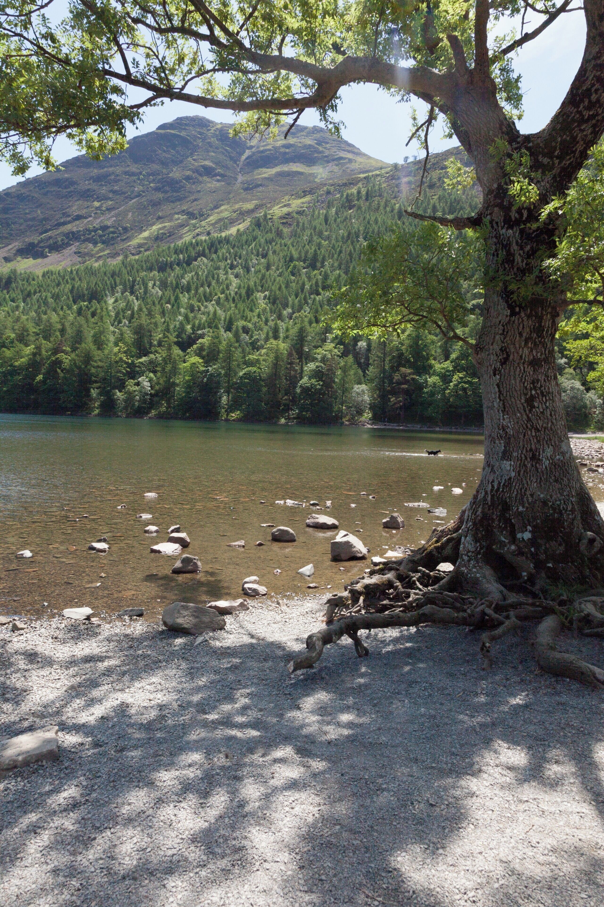 Finding shade on Lake Buttermere