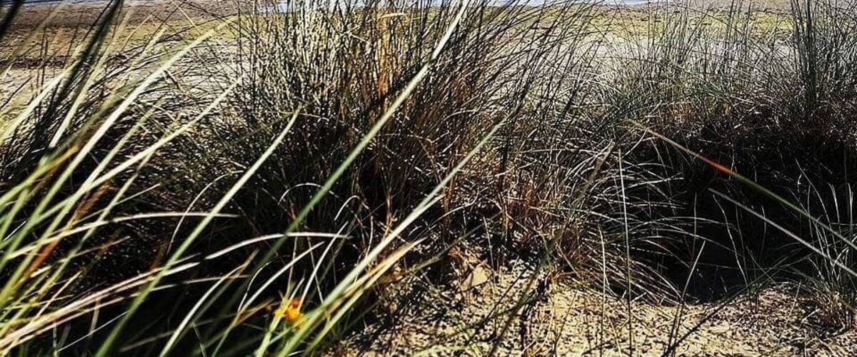 One of the best beaches in the south east