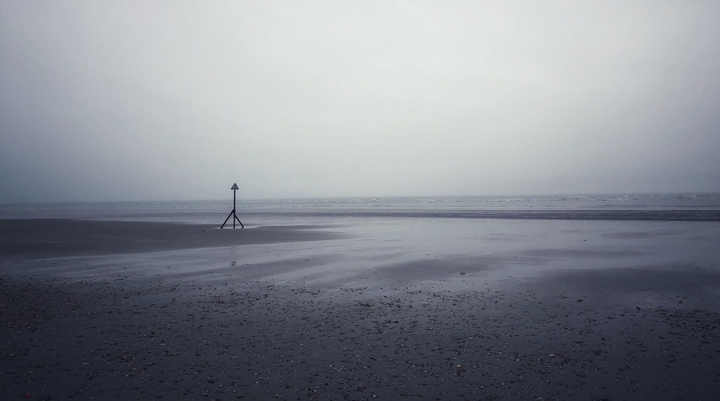 A cold and grey day on the beach. Great walk.