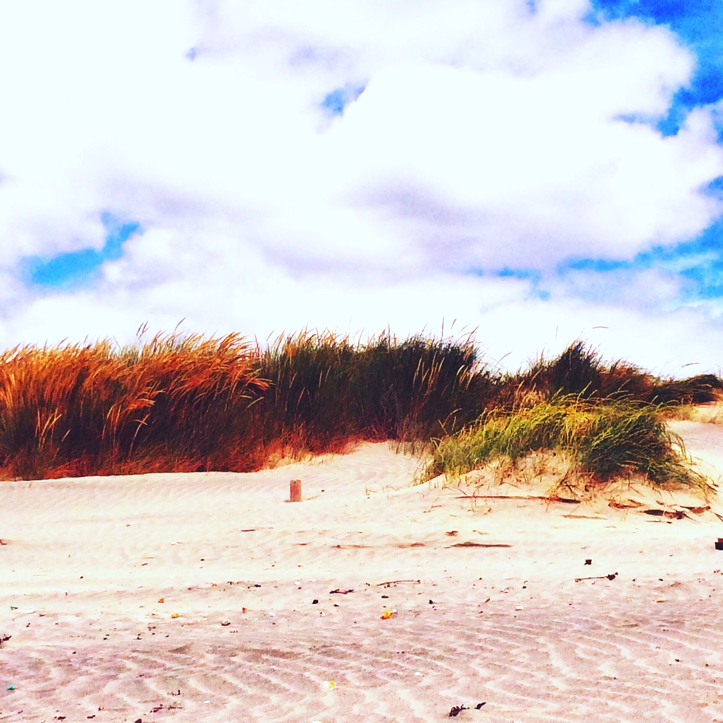 West Wittering beach in the summer. 