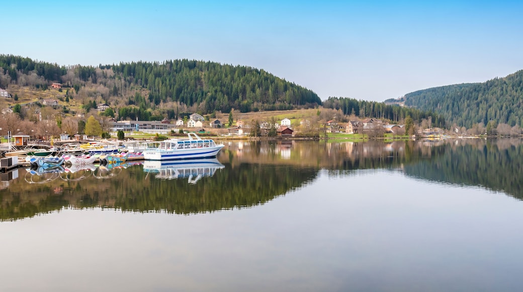 Bateaux pour visiter et découvrir le lac de Gérardmer dans les Vosges. Paysage de montagne et de conifères.