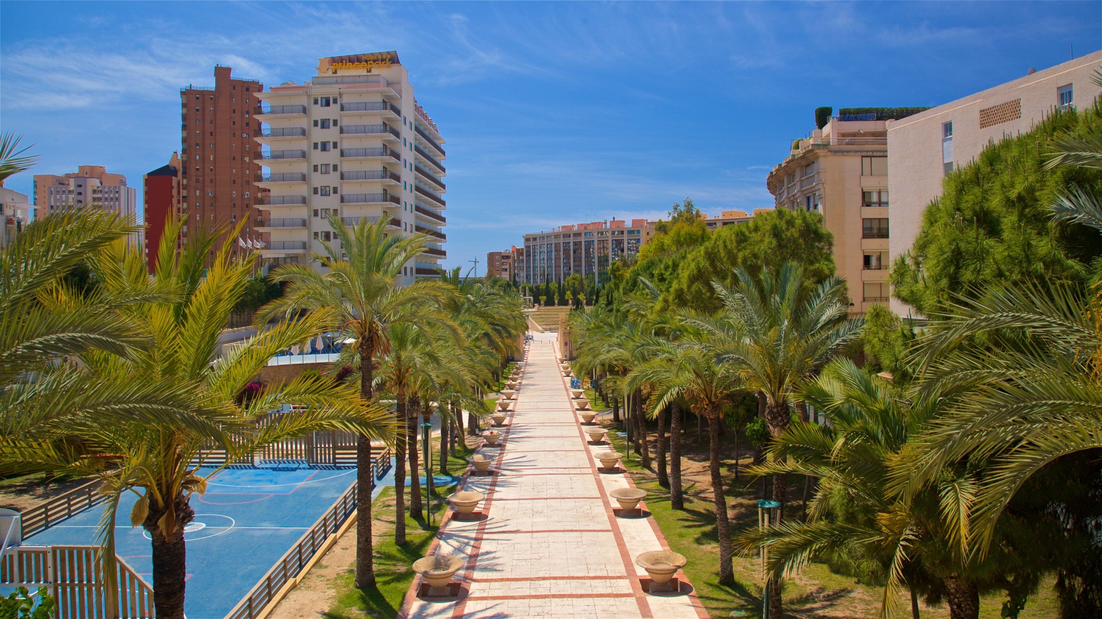 Benidorm Centro showing a park