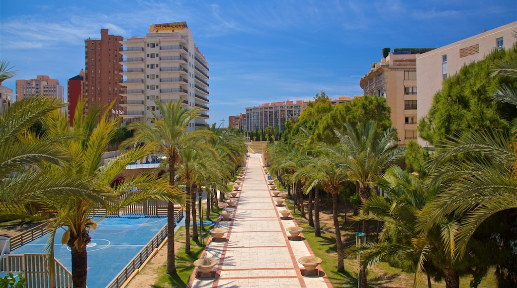 Benidorm Centro showing a park