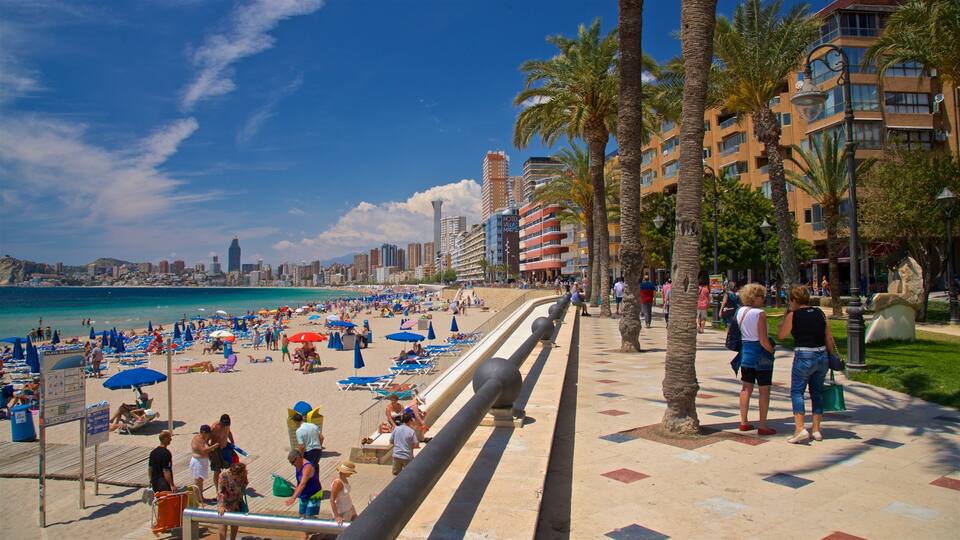 Ein überfüllter Strand mit Palmen, einer Promenade und einer Stadtkulisse im Hintergrund.