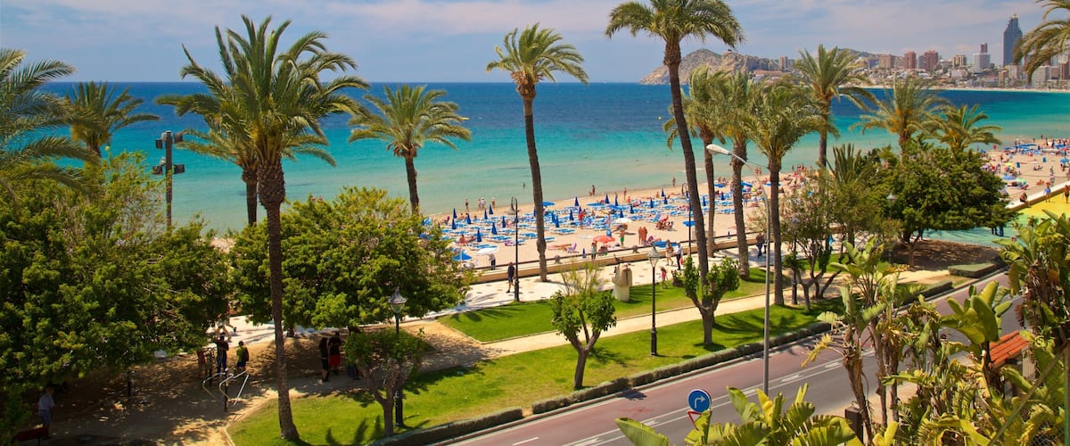 Benidorm Centro featuring general coastal views, landscape views and tropical scenes