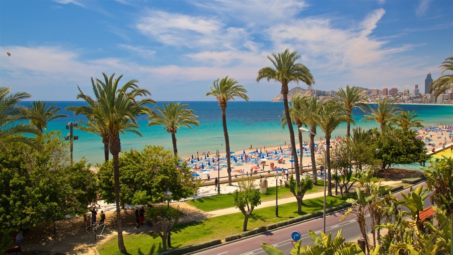 Benidorm Centro featuring general coastal views, landscape views and tropical scenes