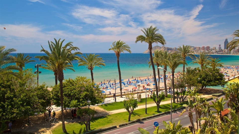 Benidorm Centro featuring general coastal views, landscape views and tropical scenes