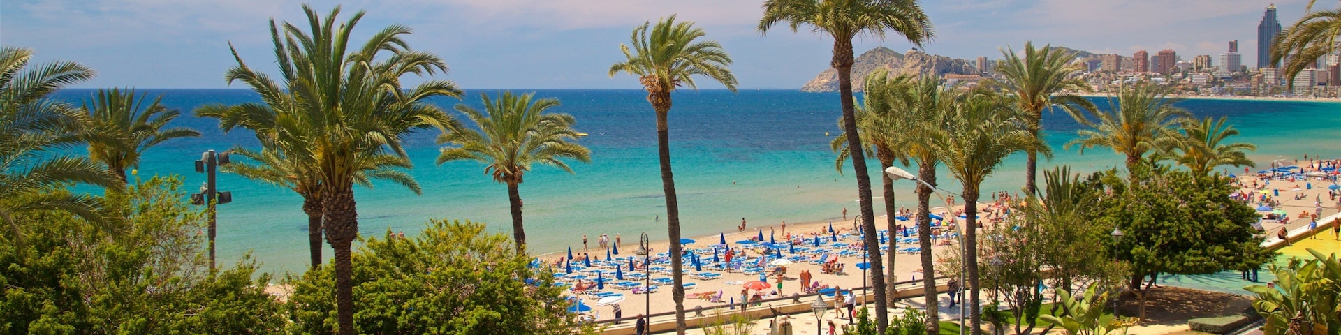 Benidorm Centro featuring general coastal views, landscape views and tropical scenes