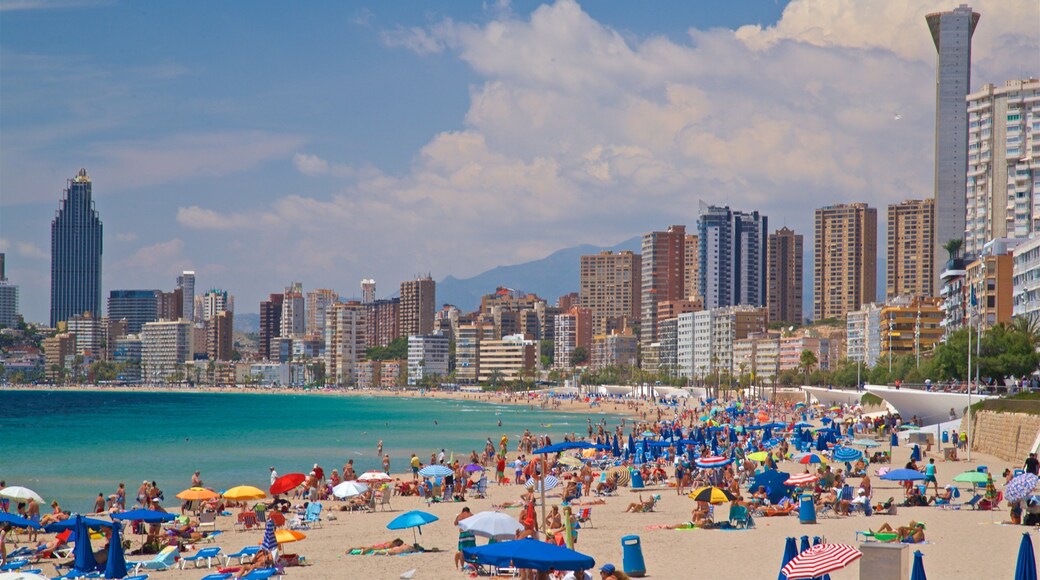 Benidorm Centro showing a beach, general coastal views and a city