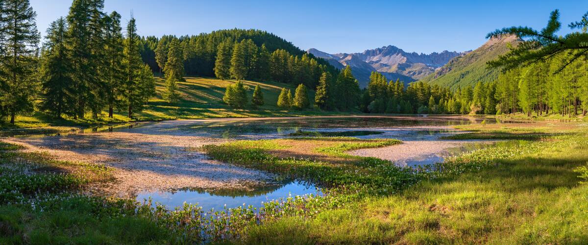 A river surrounded by lush greenery and mountains.