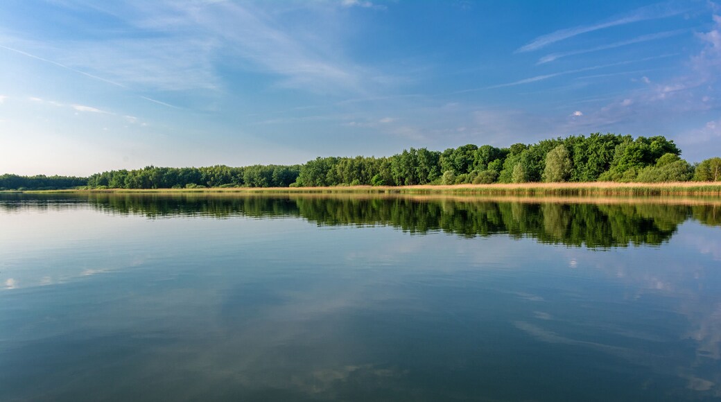 French countryside. Lake Lac de Madine in the Parc Naturel Regional de Lorraine in the early morning after sunrise.