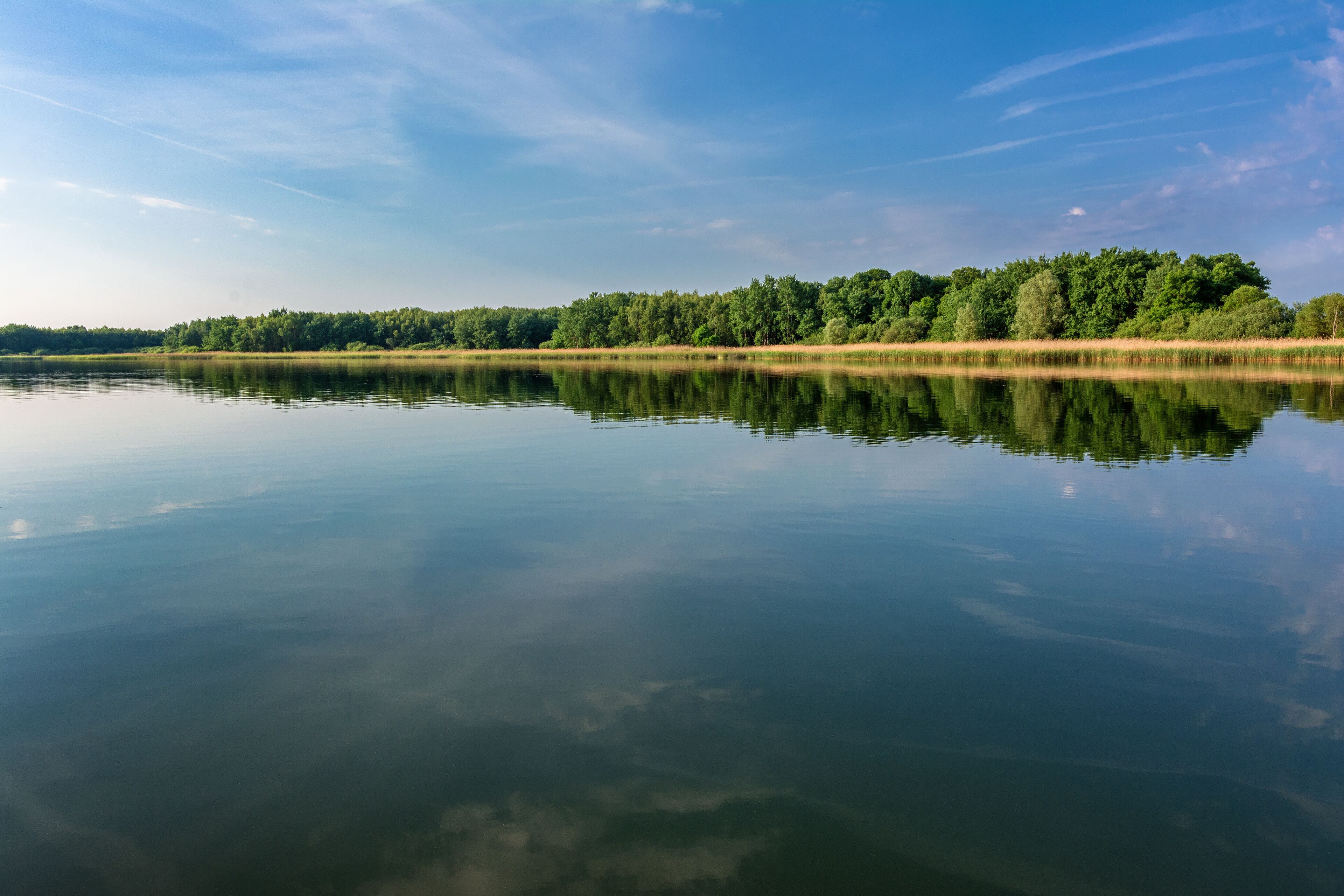 A calm lake with a clear reflection of the sky and trees.