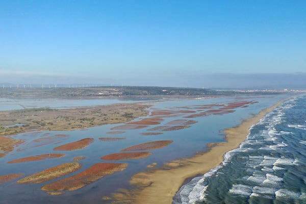falaise et plage de Leucate et la Franqui, vue du ciel