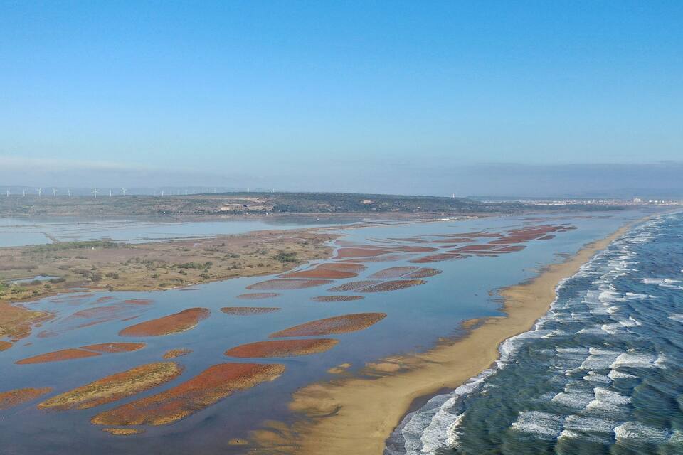 Vue aérienne d’une zone côtière avec une plage, des vasières et des éoliennes à l’horizon.