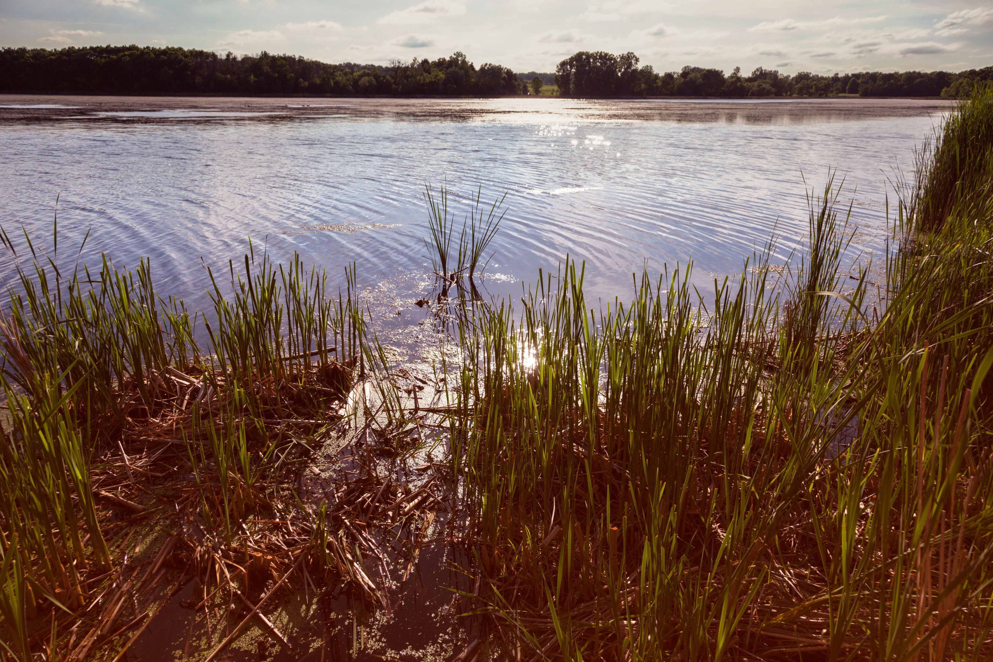 Lake Elmo Park Reserve