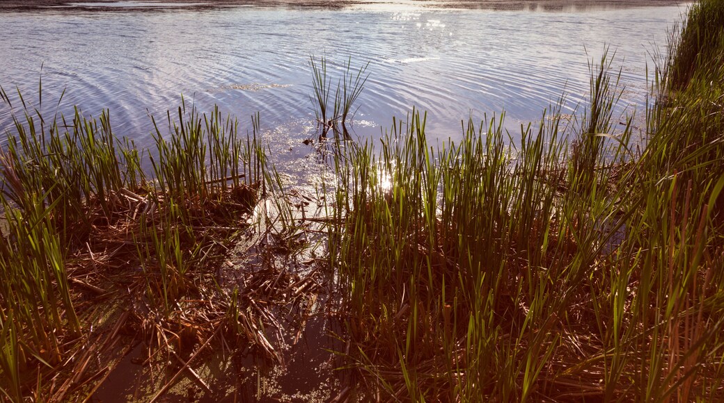 Lake Elmo Park Reserve