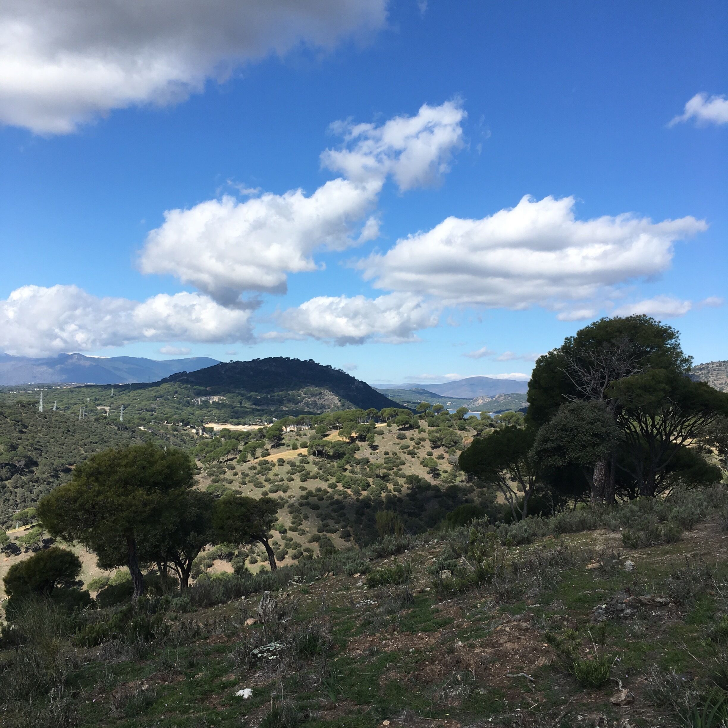 A mountainous landscape with scattered trees and a clear blue sky.
