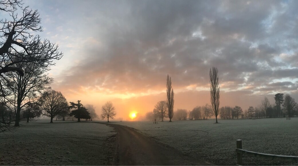 My daily commute to work with beautiful views .. love the Chiltern .. frosty morning with a killer sunrise