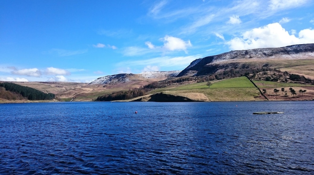 Is it spring or still winter?
Light dusting of snow on the hills above Saddleworth
#water #reservoir #hills #snow #bluesky #naturephotography #nature #naturephoto #countryside #outdoors #countryfile #landscapelovers #landscape #landscapephotography #getoutside #getoutdoors #ignature #instanature
