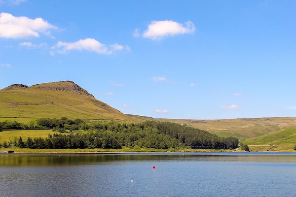 A lake with a mountain in the background and a forested area in the foreground.