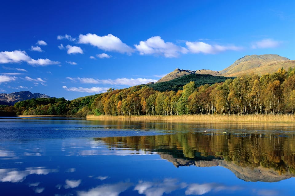 A calm lake reflecting the sky and surrounding trees.