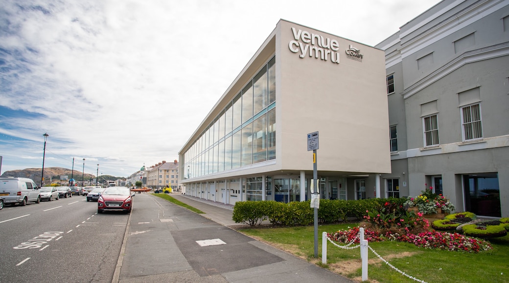 Venue Cymru featuring flowers, a park and signage