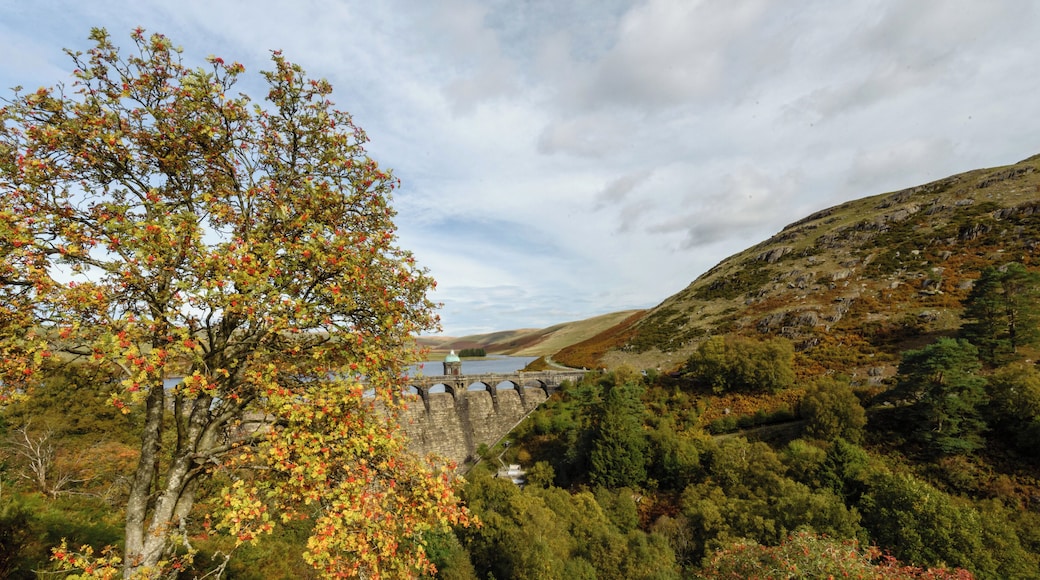 Our first visit to the Elan Valley dams and we could not have picked a better day. If you are in Wales and love great views, wonderful driving roads and the great outdoors I highly recommend visiting and walking around the area.
It will take at least a day for a relaxed visit, walks and photographs or 3 hours with a few stops and a good drive through the valleys. The drive north to Devils bridge was excellent.
#wales #elanvalley #elandams #landscapes #landscapephotography