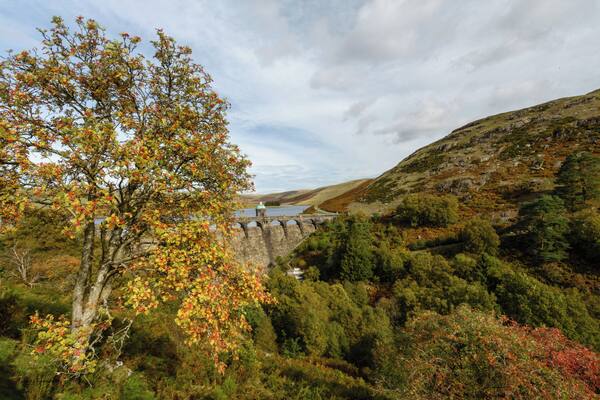 Our first visit to the Elan Valley dams and we could not have picked a better day. If you are in Wales and love great views, wonderful driving roads and the great outdoors I highly recommend visiting and walking around the area.
It will take at least a day for a relaxed visit, walks and photographs or 3 hours with a few stops and a good drive through the valleys. The drive north to Devils bridge was excellent.
#wales #elanvalley #elandams #landscapes #landscapephotography