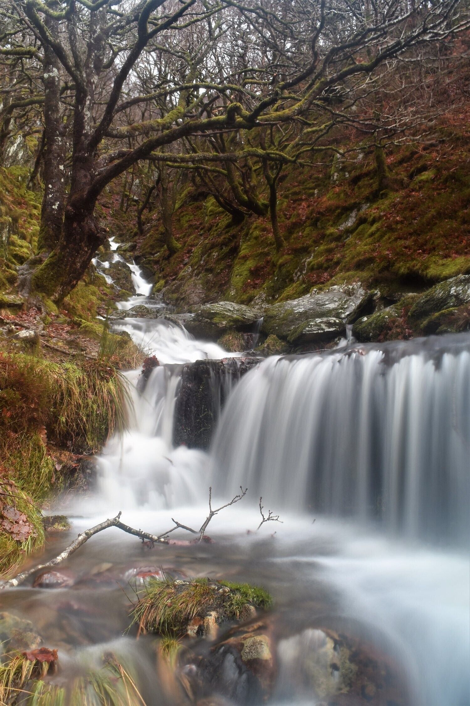 The beautiful Elan valley