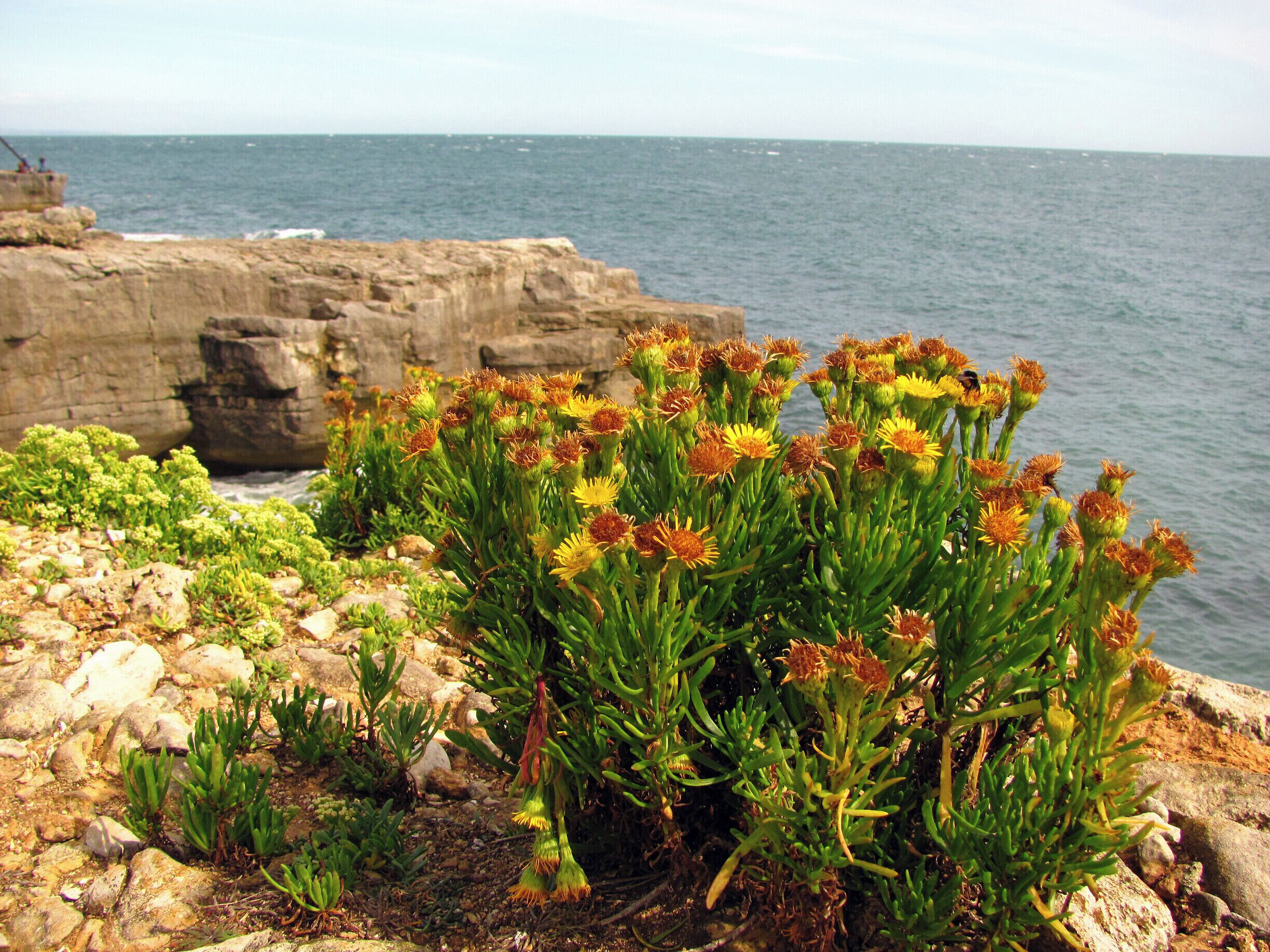 Near to Portland Bill lighthouse