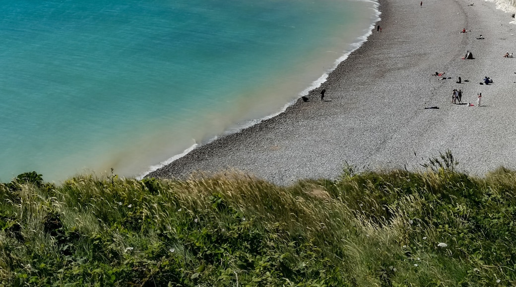 They don't get as much exposure as the white cliffs of Dover, but the seven sisters for me are the more attractive if coming to look for white chalk cliffs! #lifeatexpedia #beaches #visitbritain
