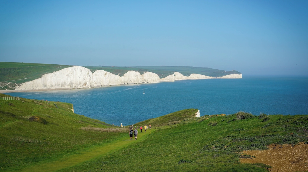 View from Seaford Cliff's