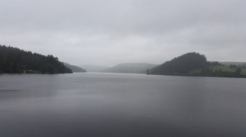 The mist in the air gave this picture a very atmospheric feel to it.