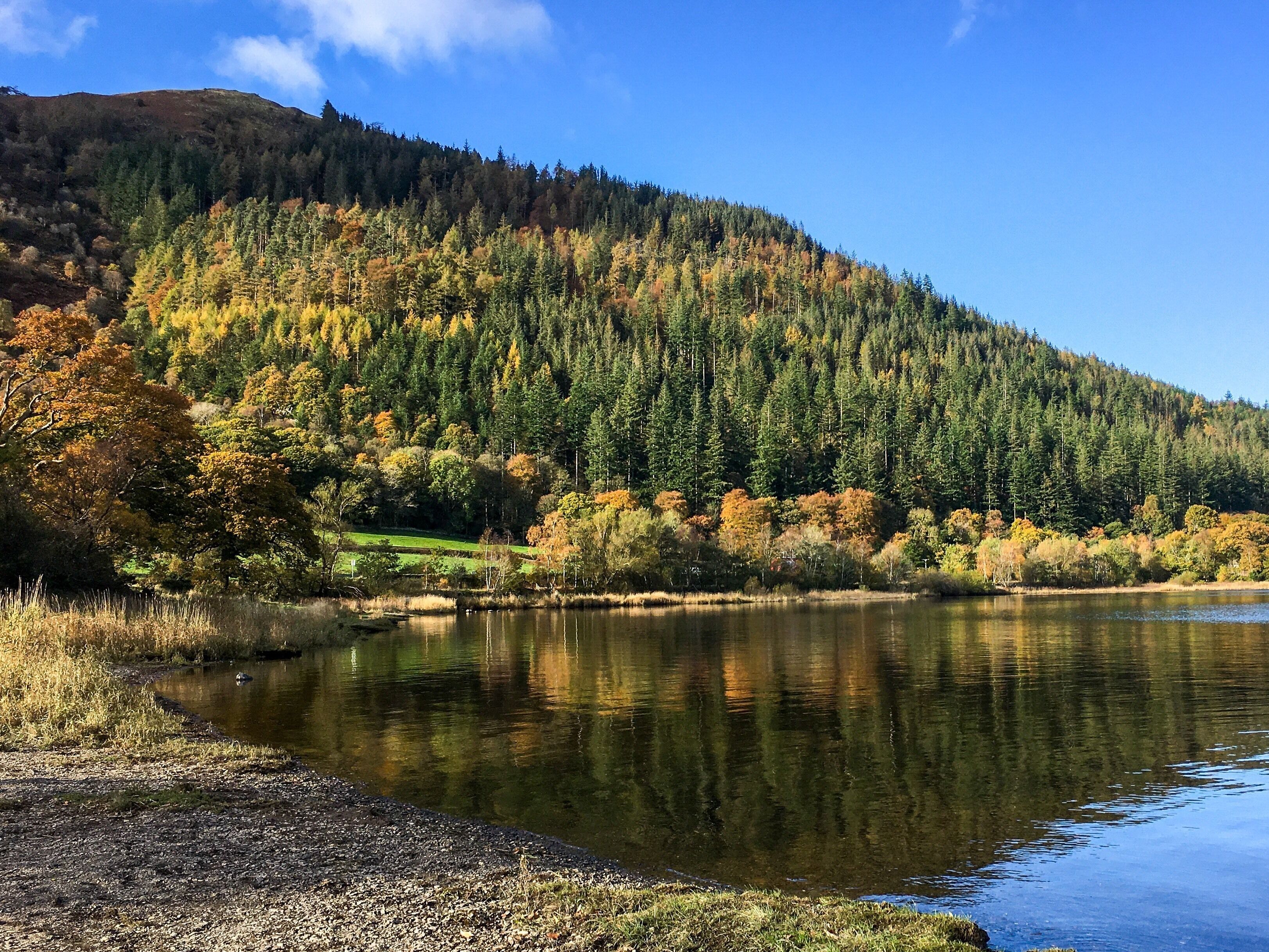 Bassenthwaite Lake National Nature Reserve, Lake District, Cumbria, England #travel #red #landscape #nationalpark #hiking #adventure #trovember