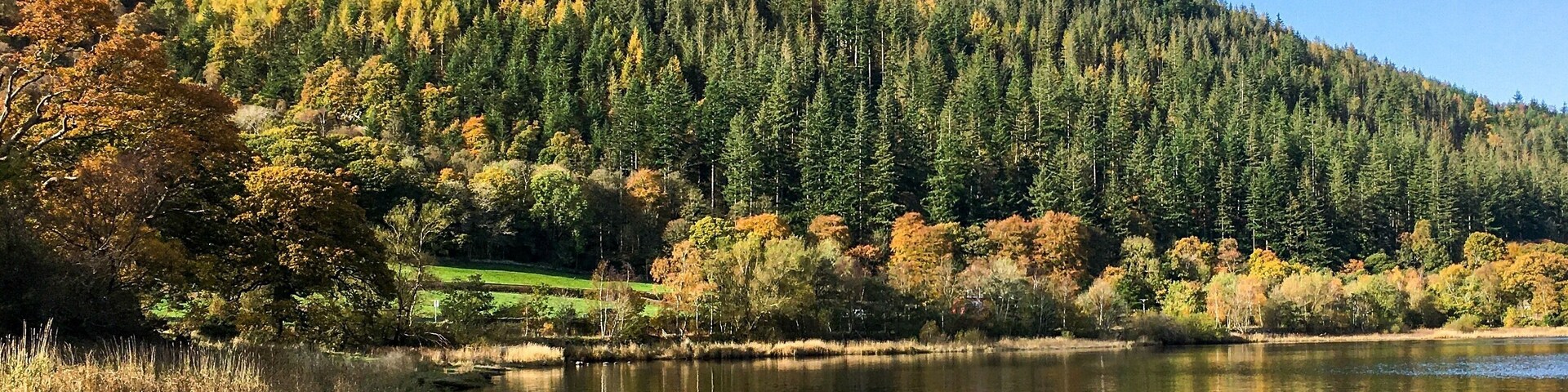 Ein See, umgeben von herbstlich gefärbten Bäumen und einem bewaldeten Hügel.