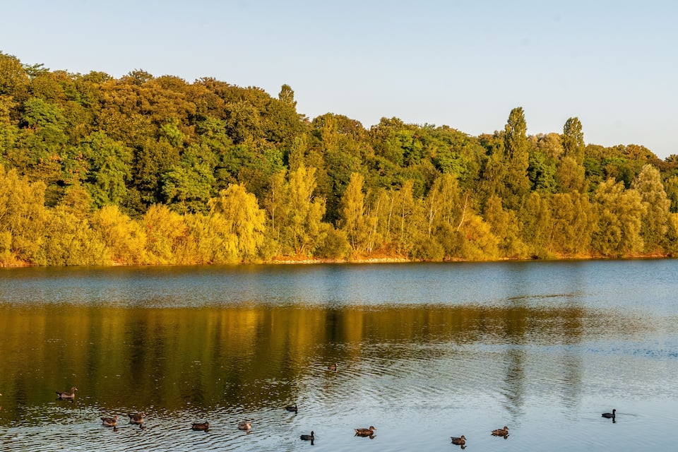 A lake surrounded by autumn-colored trees.