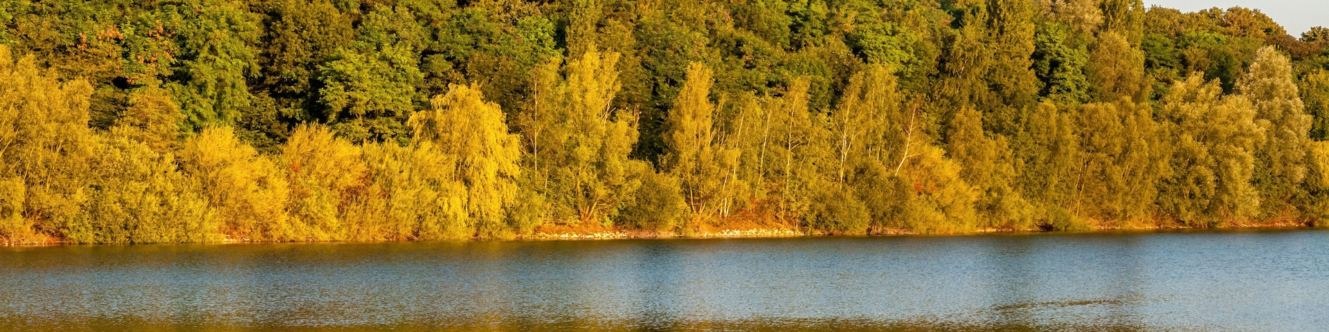 7954 Köln - Fühlinger See - mit Enten