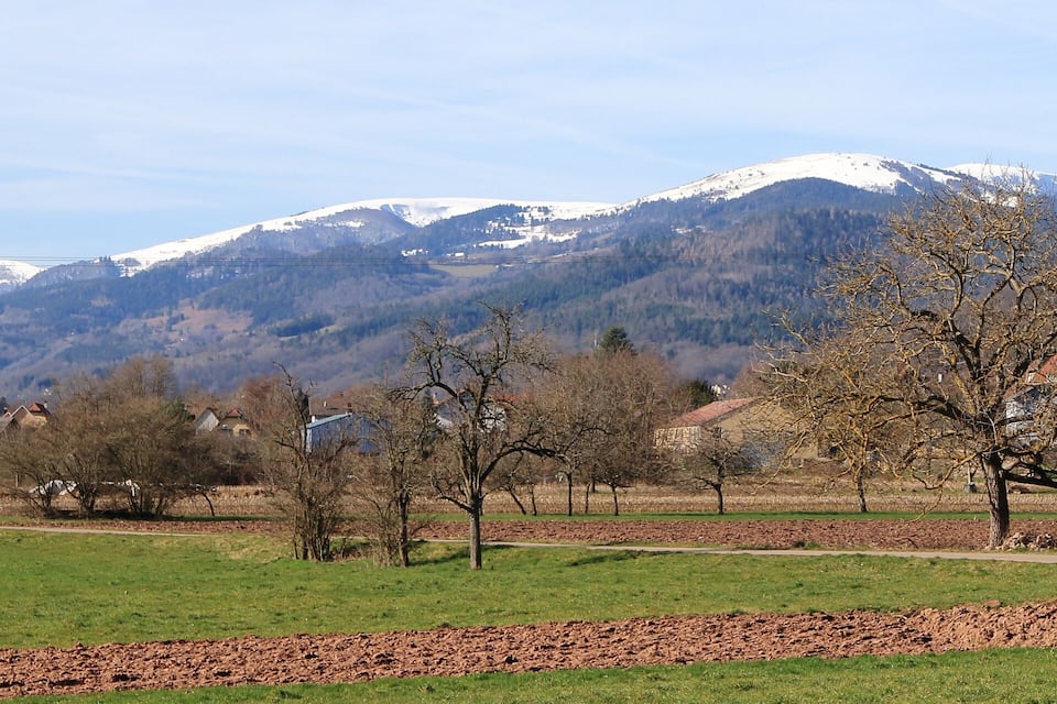 Ländliche Landschaft mit Feld, Bäumen, einer Kirche und verschneiten Bergen im Hintergrund.