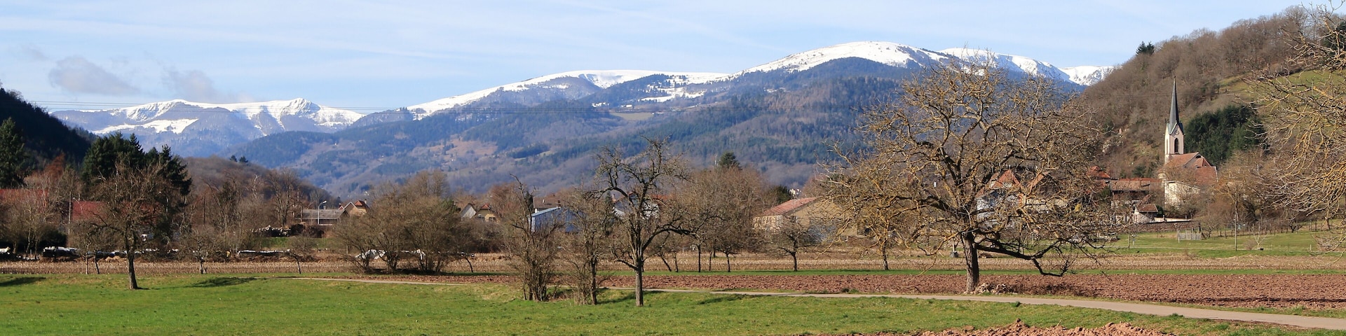 Paysage de la vallée de Munster en Alsace, France