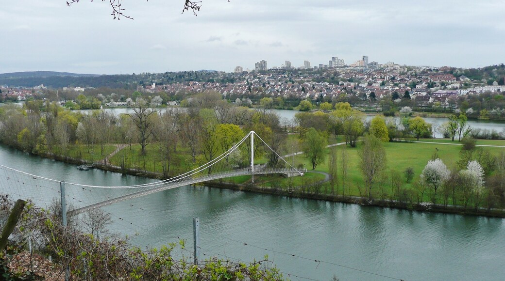 Neckar und Max-Eyth-See, Stuttgart